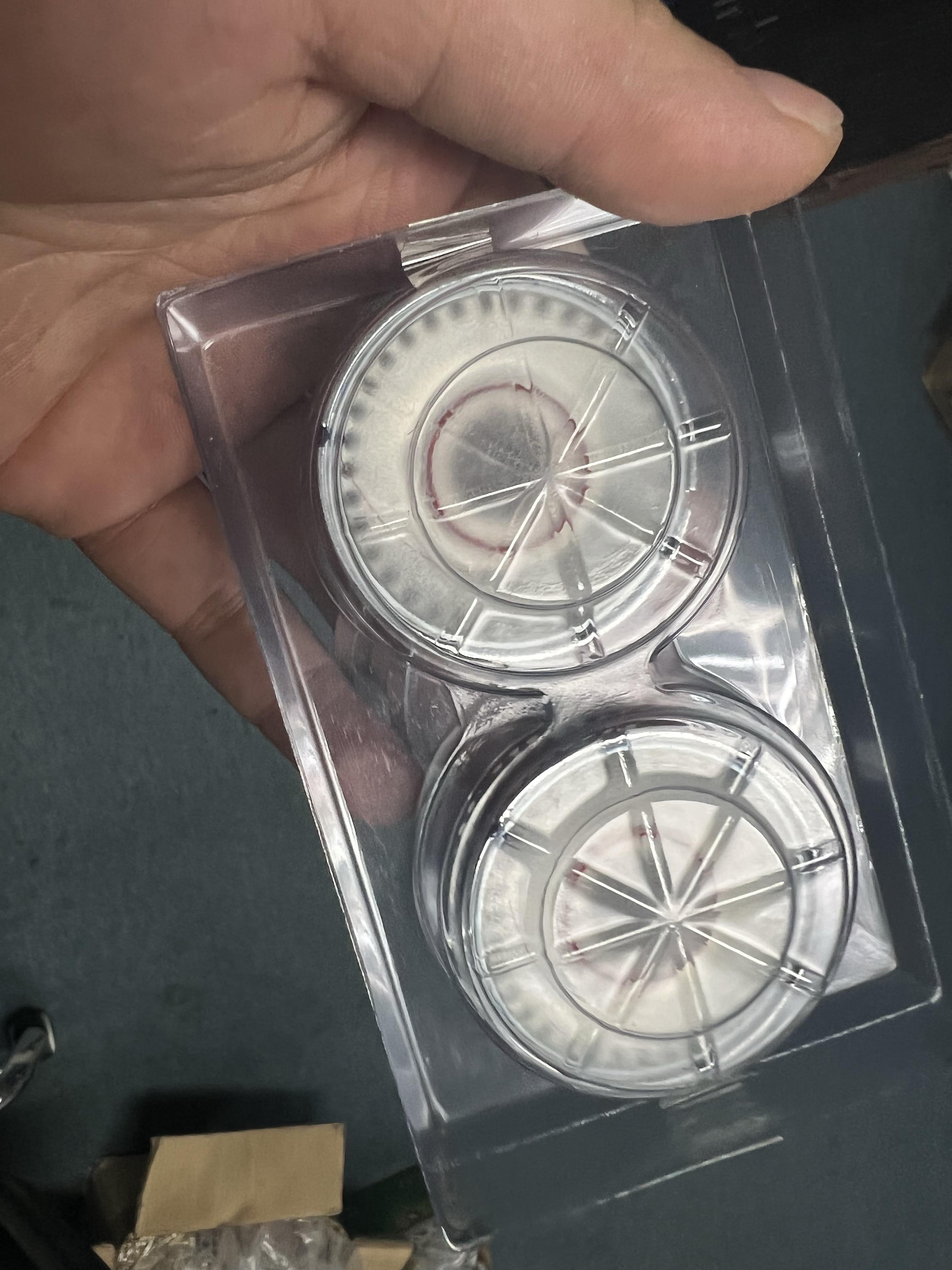 mk娱乐体育 -HE郈k?$誋?慤?/;?Z?O抽謋 