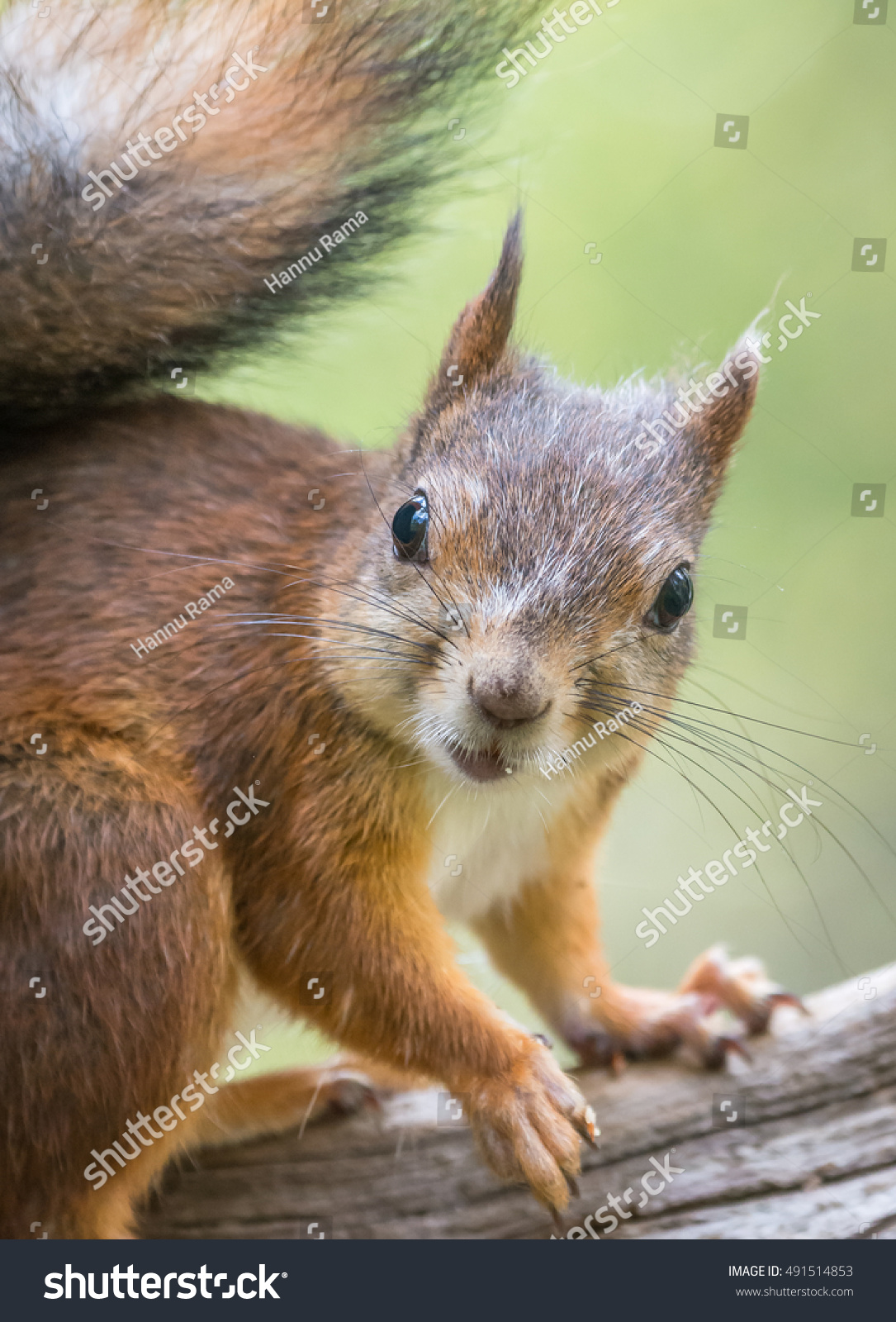 mk体育下载 -濂斿浘p2511